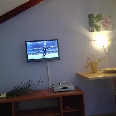 Apartamento Tamara *